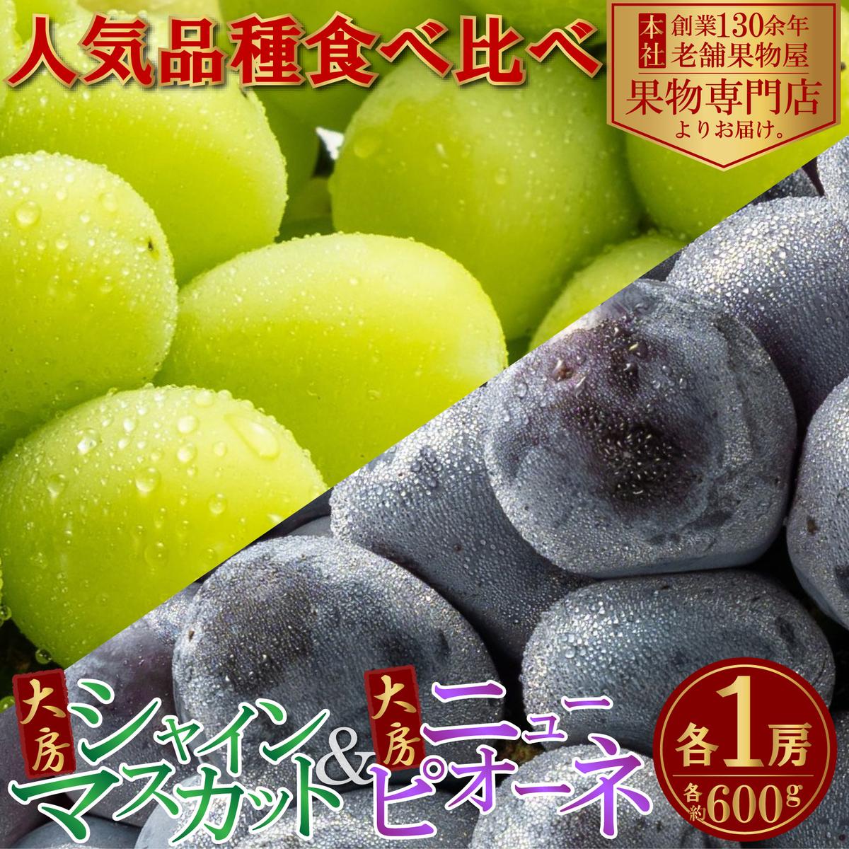 【ふるさと納税】【2026年8月中旬より順次発送】大房シャインマスカット＆大房ニューピオーネ　各1房　（各約600g） ジューシー 濃厚 果汁たっぷり デザート 食後 国産 日本産 観音寺産 食べ比べ ブドウ食べ比べ 食べ物　お届け：2026年8月中旬～9月下旬