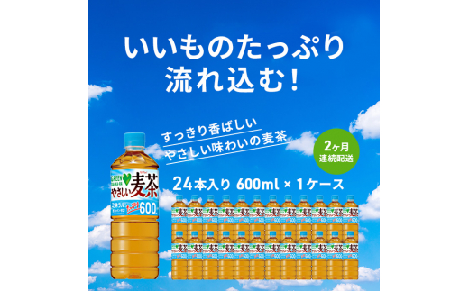 
麦茶 定期便 2ヶ月 GREEN DA・KA・RA やさしい麦茶 600ml×24本 ペットボトル
