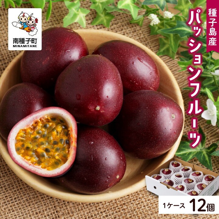 【ふるさと納税】《先行予約》 令和7年度 種子島産パッションフルーツ 1ケース ( 12個入り ) パッションフルーツ 果物 フルーツ 食品 グルメ お取り寄せ お中元 人気 おすすめ 返礼品 南種子町 鹿児島 かごしま 【有限会社新栄物産】