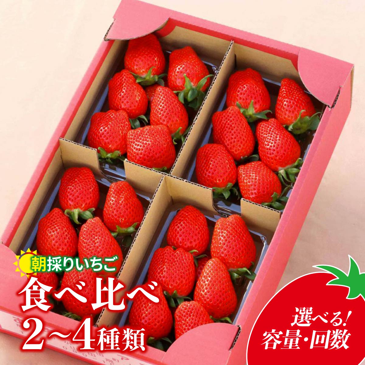 【ふるさと納税】 いちご 2種/3種/4種 食べ比べ 【800g/1120g/1600g/4ヵ月定期便】 1回分 定期便 | イチゴ 苺 高品質 新鮮 完熟 旬 ストロベリー 高級 人気 プレゼント 朝採れ やよいひめ ななか 恋みのり あまおとめ 贈答用 群馬県 前橋市