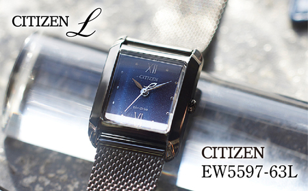 シチズン 腕時計 CITIZEN シチズン 日本製 電波 シチズンエル EW5597-63L | 所沢 FN-Limited-PR