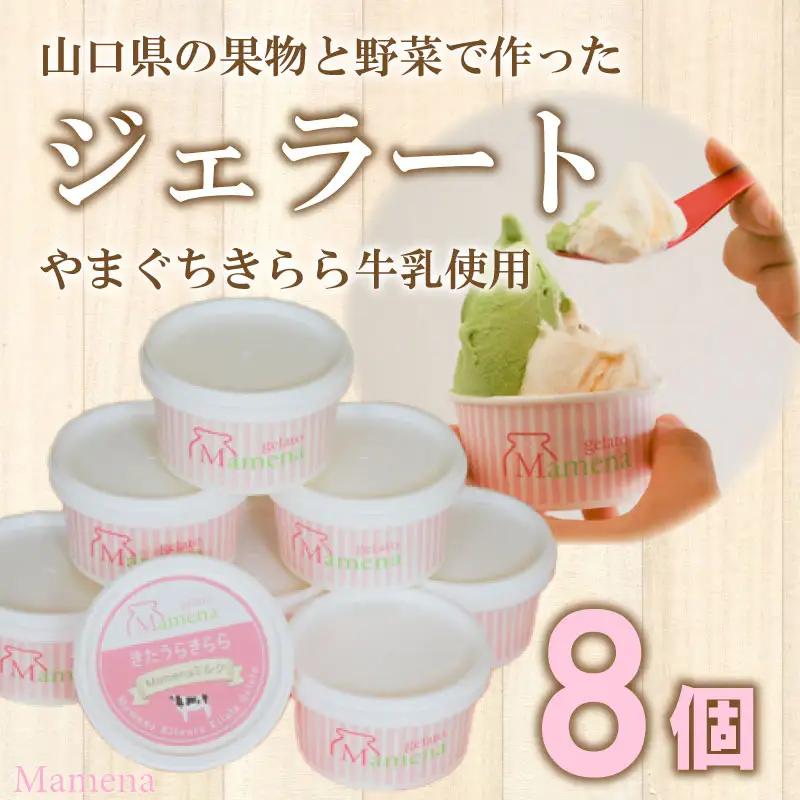 アイス ジェラート 8種8個 アイス EP