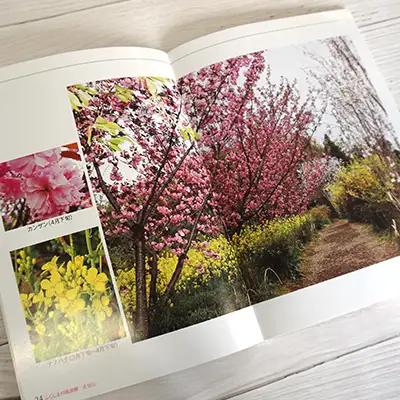 No.1148　写真集 ふくしまの桃源郷「花見山」