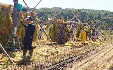 新米 新潟県産コシヒカリ 6kg (1kg×6) 特別栽培米 令和7年産 昔ながらのはざ掛け（はざかけ）真空パック  [農事組合法人ならやま]【020P096】