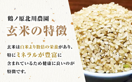 栽培期間中農薬不使用 令和5年産 金のいぶき 玄米 5kg 武雄市/鶴ノ原北川農園[UDL021] 米 お米 玄米 玄米5kg