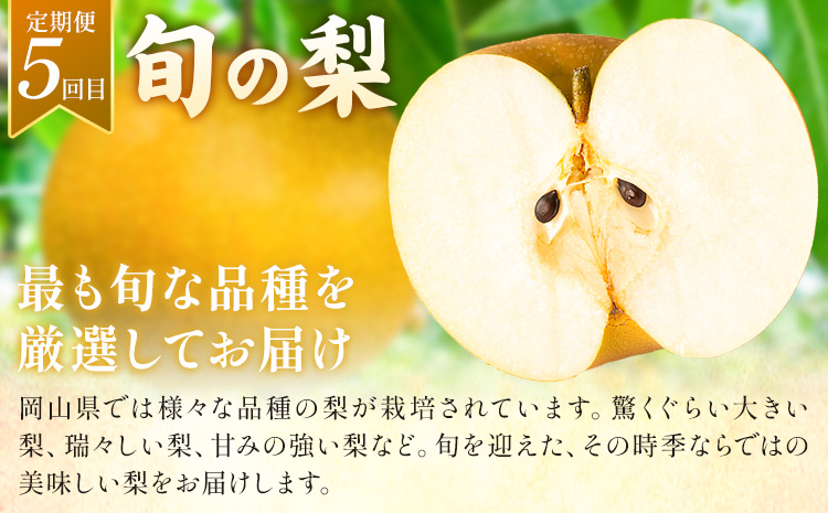 フルーツ 定期便 全5回 岡山県の 贅沢 フルーツ定期便 白桃 黄桃 ニューピオーネ シャインマスカット 梨《7月-12月末頃出荷》岡山県 矢掛町 送料無料 果物 フルーツ 旬 もも ぶどう なし お