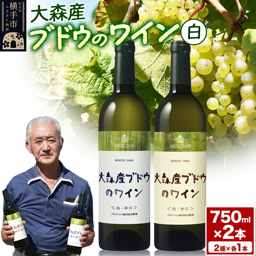 【ふるさと納税】大森産ワインの甘辛飲みくらべ 750ml×各1本 計2本