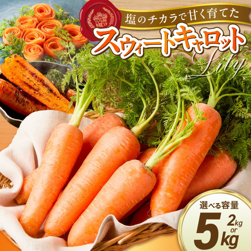 【ふるさと納税】メディア出演多数 期間限定 にんじん スウィートキャロットリリィ 選べる 容量 2kg 5kg 予約受付 甘いにんじん 人参 ニンジン ジュース スムージー サラダスティック ギフト用 農作物 鈴盛農園 お取り寄せ 愛知県 碧南市 送料無料