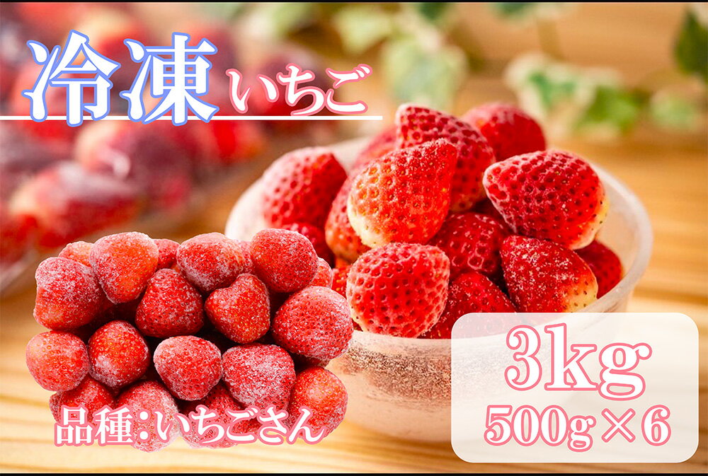 【ふるさと納税】冷凍いちご（いちごさん）3kg(500gX6)（DV229）