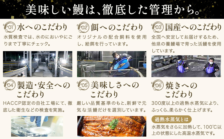 【隔月6回定期便】鰻 うなぎ 蒲焼き 2尾 (1尾約140g) タレ 山椒 付き 株式会社薩摩川内鰻《お申込み翌月から出荷》鹿児島県 さつま町 送料無料 ウナギ 蒲焼 かば焼き 丑の日 うなぎ お取り