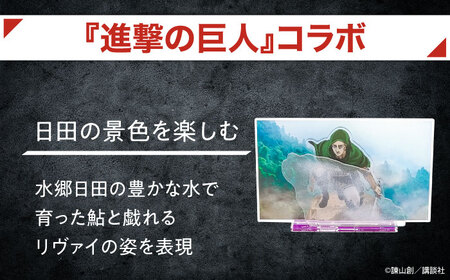 進撃の巨人 日田景色アクリルスタンド(小) 3枚セット エルヴィン×底霧 日田市 グッズ アクスタ[ARBV007]