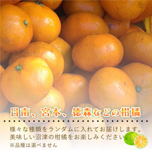 訳あり 早生みかん 早生 約3kg 秋 みかん