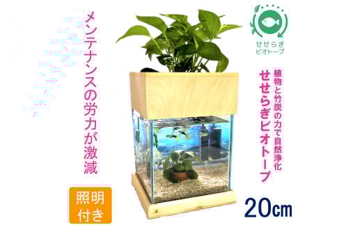 せせらぎビオトープ　20cm型基本照明＋木枠台セット