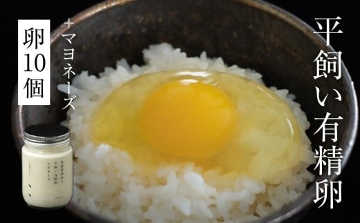 平飼い有精卵 10個＋オリジナルマヨネーズ《西粟倉村》【株式会社点々】 t-SS-AlEA