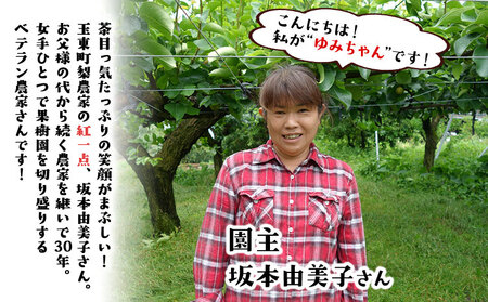 ゆみちゃん農園の玉東梨 甘太梨 約5kg(7～16玉前後)《2026年8月下旬-10月上旬頃出荷》 熊本県玉名郡玉東町 ｜ブランド梨 人気梨 特産品梨 熊本県梨 玉東町梨 大人気返礼品