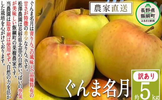 りんご ぐんま名月 訳あり 5kg 松澤農園 沖縄県への配送不可 2024年11月下旬頃から2025年1月上旬頃まで順次発送予定 令和6年度収穫分 長野県 飯綱町 [1335]