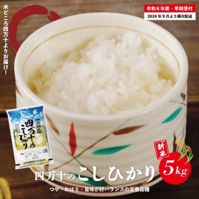 【令和6年産新米・早期受付】四万十のこしひかり5kg【2024年9月より順次配送】R6-148