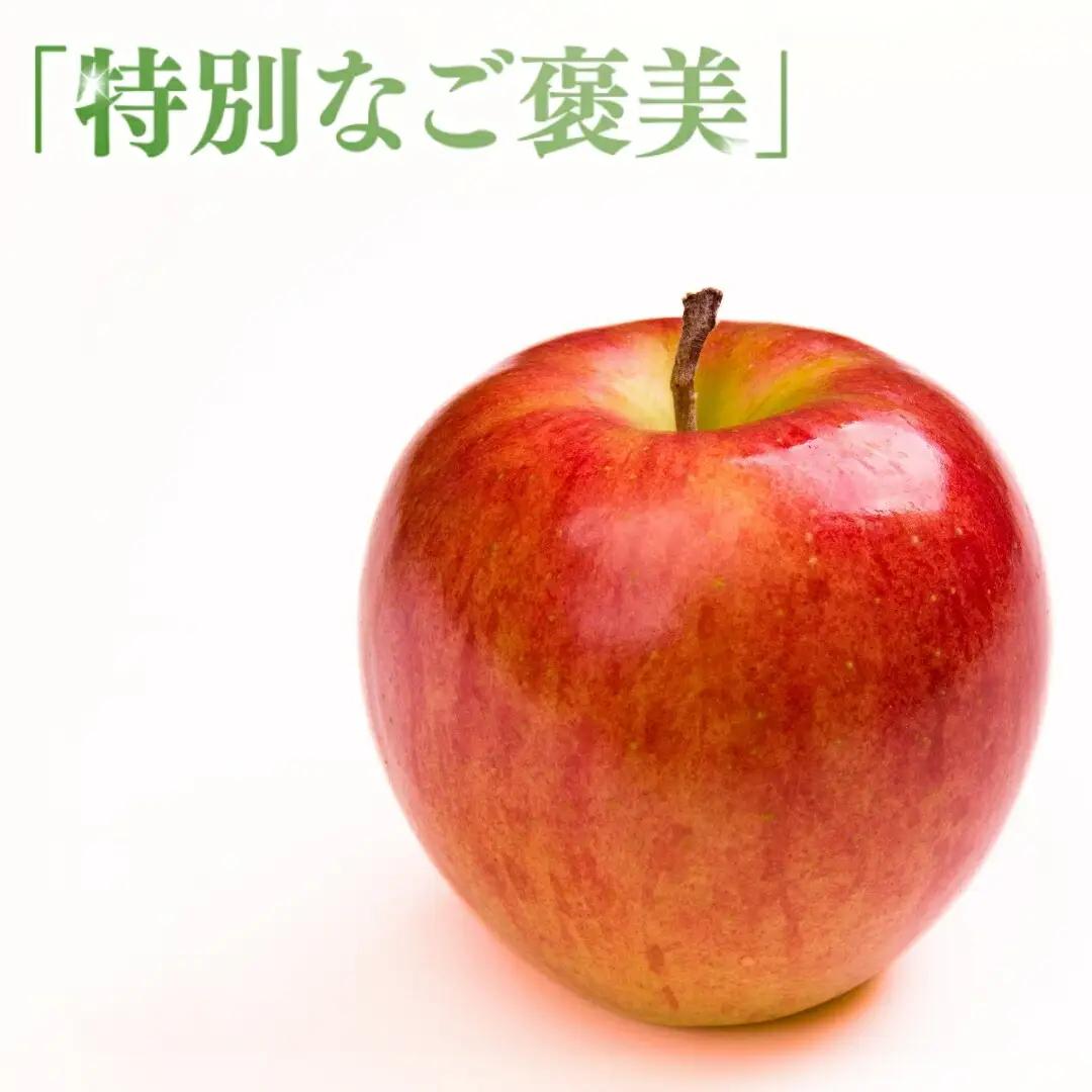 【2026年先行予約】りんご シナノスイート 6~11玉 約3kg|シナノスイート
