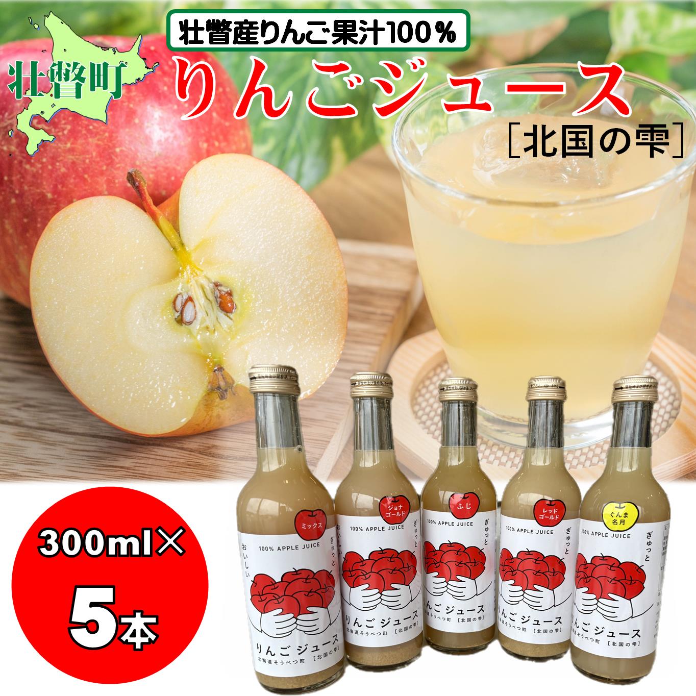 【ふるさと納税】〈2026年1月下旬よりお届け〉りんごジュース「北国の雫」(壮瞥町産りんご100%) 300ml×5本 【 ふるさと納税 人気 おすすめ ランキング 北海道 壮瞥 りんご アップル ジュース 果汁 100％ 飲み物 贈答 ギフト セット 北海道 壮瞥町 送料無料 】 SBTA082