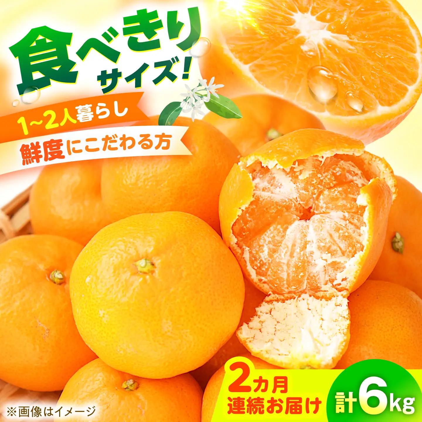 みかん 2回定期便 温州みかん 3kg×2回/ みかん ミカン 蜜柑 甘い フルーツ 果物 みかん ミカン 蜜柑 フルーツ 果物 みかん くだもの柑橘 旬 果実 甘味 酸味 甘い mikan 産地直送 農家直送 数量限定 国産 ミカン ご当地 お返し ミカン 贈り物 人気 / 大村市 おおむら夢ファームシュシュ[ACAA500]