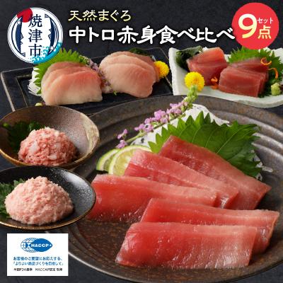 ふるさと納税 焼津市 マグロ 中トロ 赤身 ねぎとろ S6(a20-365)