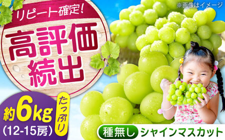 数量限定/9月上旬から9月下旬頃発送 沼隈ぶどう「シャインマスカット」 約2kg×3(12から15房) 広島県福山市/福山市農業協同組合　沼隈グリーンセンター ぶどう ブドウ 葡萄 種なし 大粒 マスカット シャインマスカット[BAEV012]