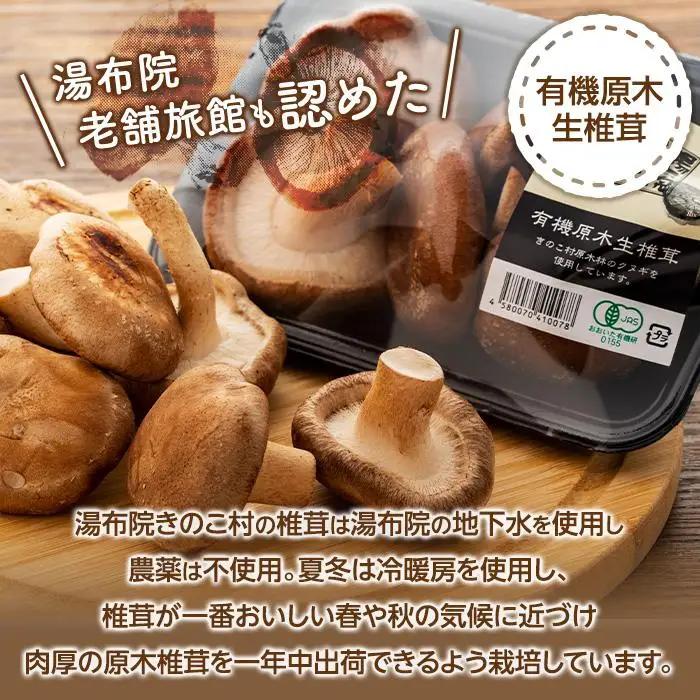 湯布院【有機原木椎茸】とミートキノコソース180g×2袋セット
