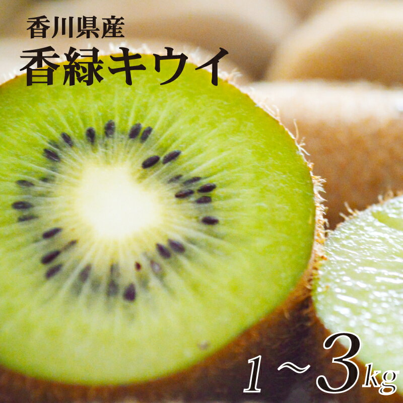 【ふるさと納税】 先行予約 キウイ 香緑 選べる 約1kg ~ 約3kg キウイフルーツ 果物 フルーツ 果実 送料無料 常温 ふるさと納税キウイ ふるさと納税フルーツ デザート スイーツ ケーキ アイス ジェラート シャーベット ジュース ゼリー ふるさと納税 発送:10月下旬以降発送