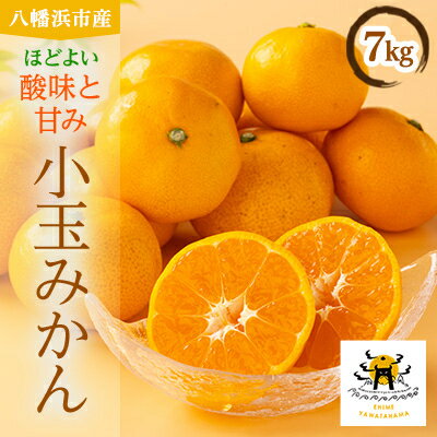 【ふるさと納税】八幡浜産　小玉みかん　7kg　箱パンパン!【D56-89】【1668891】