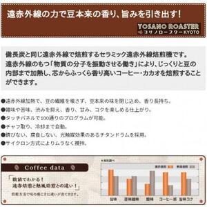 【毎月定期便】コーヒー豆　コロンビア マグダレナ 200g×2袋　こだわり遠赤外線焙煎全12回【配送不可地域：離島】【4063248】