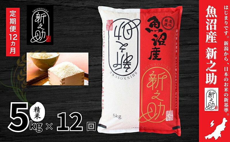 【ふるさと納税】米 定期便 12ヶ月 新之助 5kg 精米 白米 お米 新潟米新之助 新潟米 新潟 十日町市 定期 12回　お届け：寄附入金月の翌月より発送