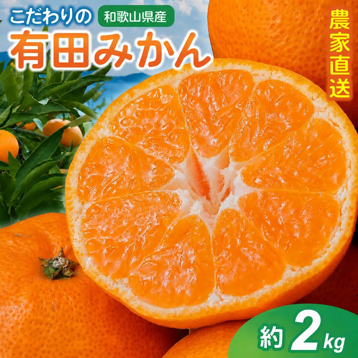 【訳あり・ご家庭用】有田みかん 約2kg みかん 北海道・沖縄県・離島配送不可【2026年12月中に順次発送予定】  【CE-nuk159C-12】