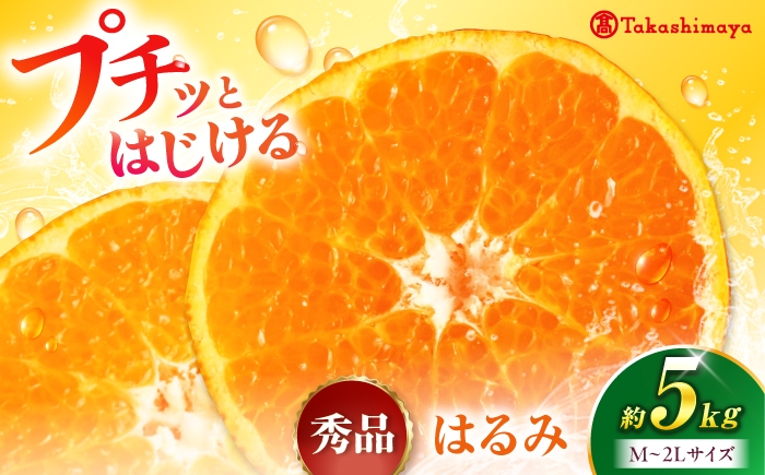 
                  みかん はるみ 約5kg【1月下旬から2月中旬まで順次発送】 / フルーツ 果物 蜜柑 ミカン オレンジ 甘い 5kg 愛媛 スイーツ デザート 柑橘 かんきつ 温州みかん 美味しい 濃厚 家庭用 愛媛県 愛媛県産 贈答 贈答用 ギフト プレゼント 人気 おすすめ お取り寄せ / 愛媛県砥部町/株式会社高島屋 [BJCM012]
                