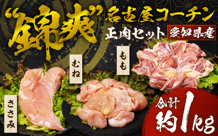 名古屋コーチン 正肉セット 800g 鶏肉