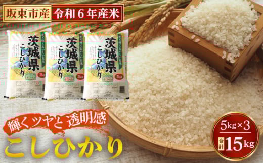 No.426 令和6年産　こしひかり15kg【坂東市産】 ／ コシヒカリ 風味豊か お米 茨城県