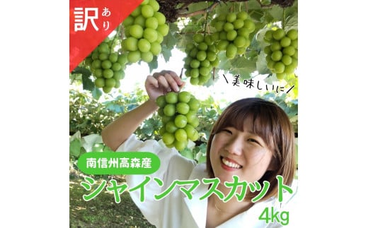 シャインマスカット訳あり4ｋｇ〈9月下旬より順次発送〉
