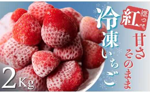 【予約受付_2025年2月以降】冷凍イチゴ2kg（2020年第31回静岡県いちご果実品評会入賞）　【 いちご 果物 フルーツ 苺 イチゴ 冷凍 果物 フローズン くだもの 大容量 静岡県産 期間限定 