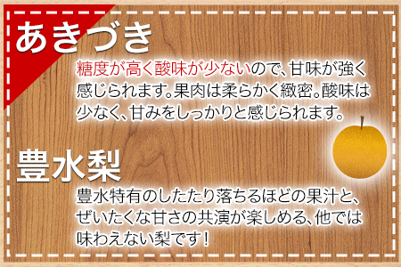 【日付指定不可】『清田果樹園』の原倉梨 期間限定 予約受付中 たっぷり約5kg 6-14玉前後《9月上旬-10月上旬頃出荷》 果汁あふれるシャキシャキ食感！新高梨 新興梨 あきづき 豊水梨 熊本県玉名
