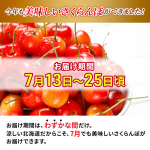 [先行受付] 北海道 仁木町産 厳選品 サクランボ 南陽 400g  Lサイズ以上松山商店　さくらんぼ 旬 果物 くだもの 果実 フルーツ 桜桃 チェリー 産地直送