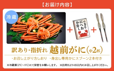 【訳あり】≪浜茹で≫指折れ 越前がに（中） × 2杯 【1月発送分】 食べ方しおり かにスプーン付き【雄 ズワイガニ ずわいがに 越前ガニ 姿 ボイル 冷蔵 福井県】希望日指定可 備考欄に希望日をご記