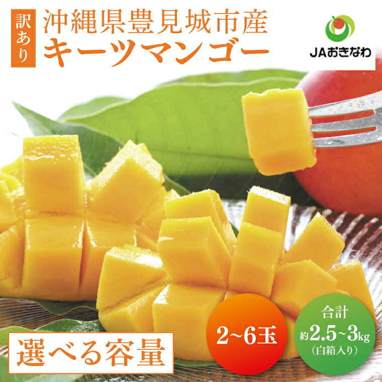 【ふるさと納税】【2025年8月より順次発送】【先行予約】【選べる内容量】★訳あり★キーツマンゴー(白箱)ご家庭用