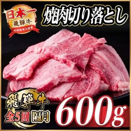【2ヵ月毎定期便】飛騨牛 焼肉切り落とし 約600g(約300g×2)タレ付き 訳あり全5回【配送不可地域：離島】【4084211】