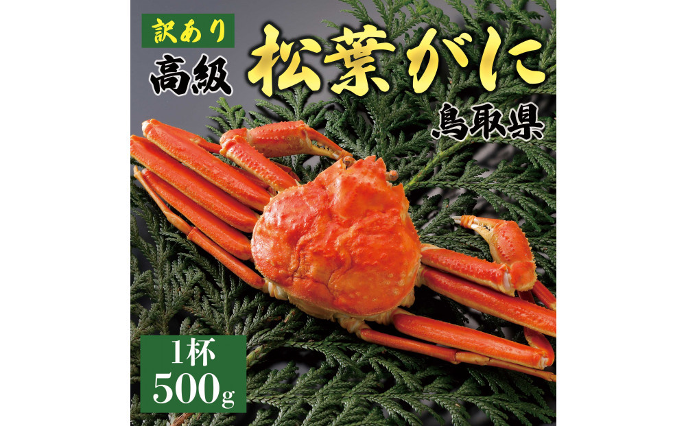 1056.【2025年12月～2026年1月発送】特撰 松葉がに（茹）【訳あり】500g超のサイズ 食べ応えあり 1杯 313726_BS052