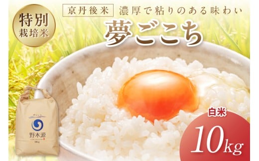 2025年産 京丹後米 特別栽培米夢ごこち10kg（白米）　NO00020