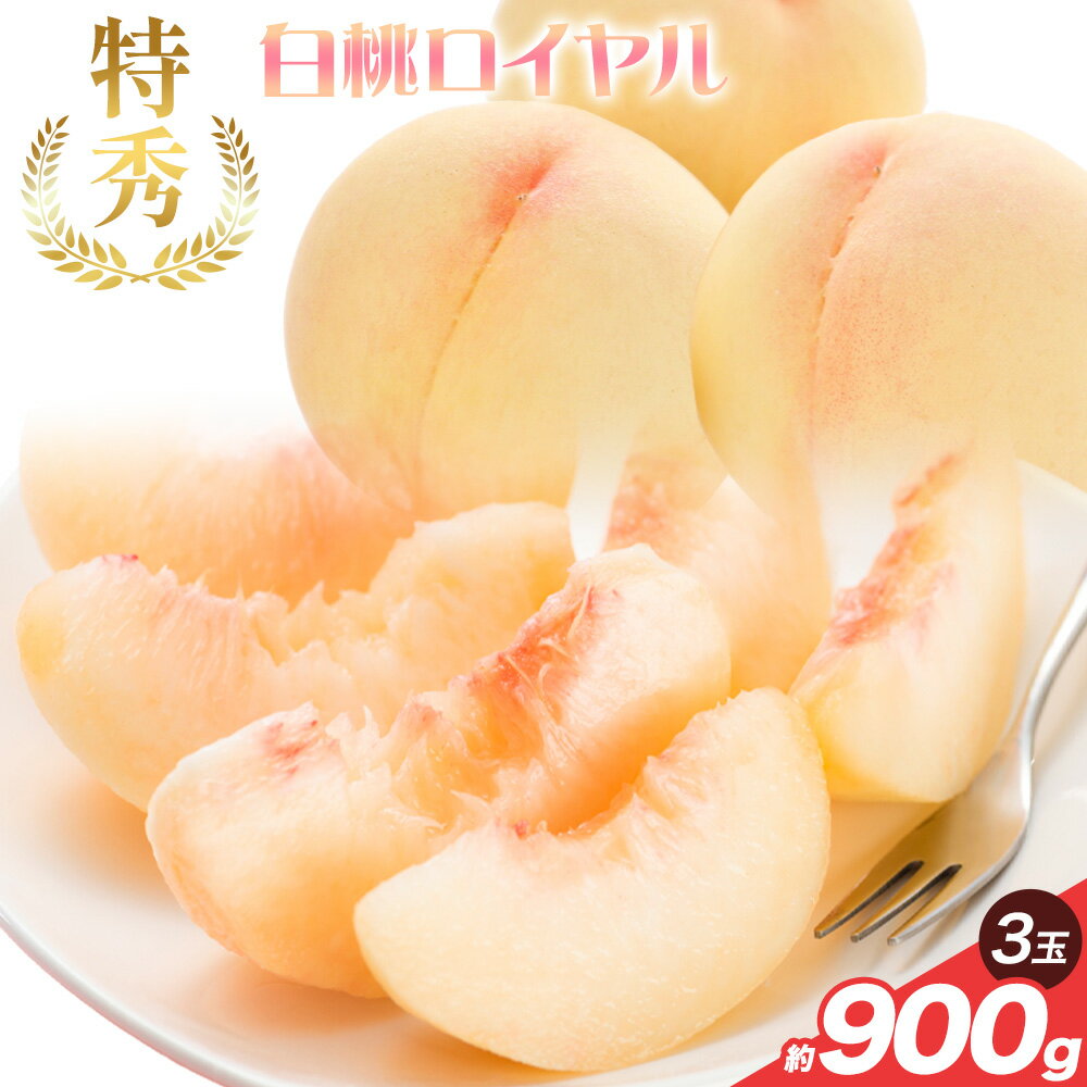 【ふるさと納税】【2025年産 先行受付】岡山県産 特秀 白桃ロイヤル 約900g (3玉) 土方商店《2025年7月上旬-2025年8月上旬頃出荷》岡山県 備前市 送料無料 果物 フルーツ 名産 モモ 晩生品種 お取り寄せフルーツ 厳選