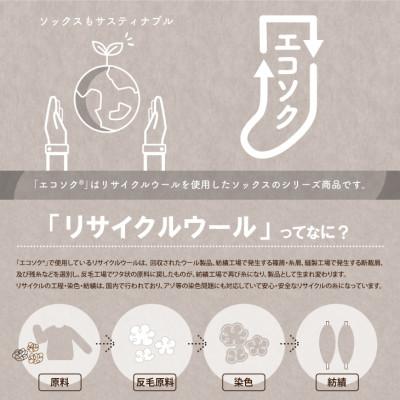 ふるさと納税 葛城市 エコソク 足袋タイプ 3足組 (ナチュラル) レディース 靴下 ウール |  | 01