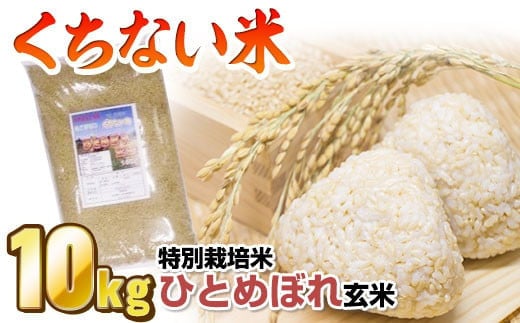 
            【 令和6年産 新米 】【数量限定】北上産 くちない米（ 特別栽培米 ひとめぼれ 玄米 ）10kg 岩手県 北上市 E0270 国産 東北 岩手 米 お米 ご飯 こめ 産直 2024年 R6年 [11/29より寄附額変更となりました]
          