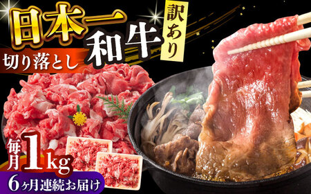 【全6回定期便】【訳あり】【A4～A5】長崎和牛焼肉切り落とし(肩ロース・バラ）　1kg（500g×2p）【株式会社 MEAT PLUS】[DBS047]