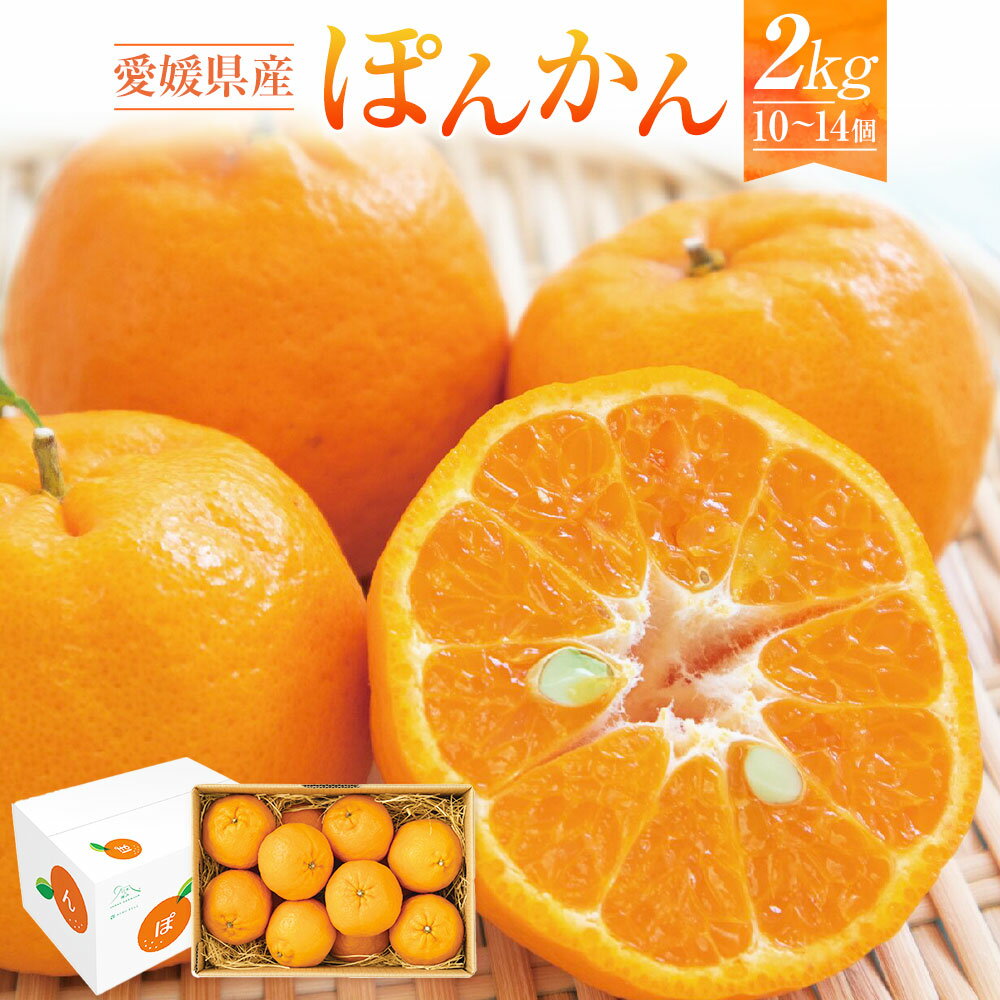 【ふるさと納税】愛媛県産 ぽんかん 約2kg 10～14個 ポンカン みかん ミカン 蜜柑 柑橘 果物 くだもの フルーツ デザート おやつ 国産 愛媛県 送料無料【2026年1月下旬～2月下旬発送予定】(876)
