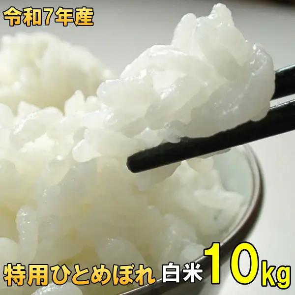 数量限定 令和7年産 岩手県奥州市産 特用ひとめぼれ 白米 10kg 生活応援 緊急支援 [AC040]